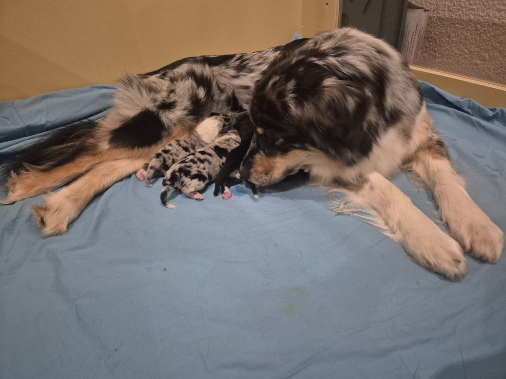 Naissances le 27 Novembre 2025