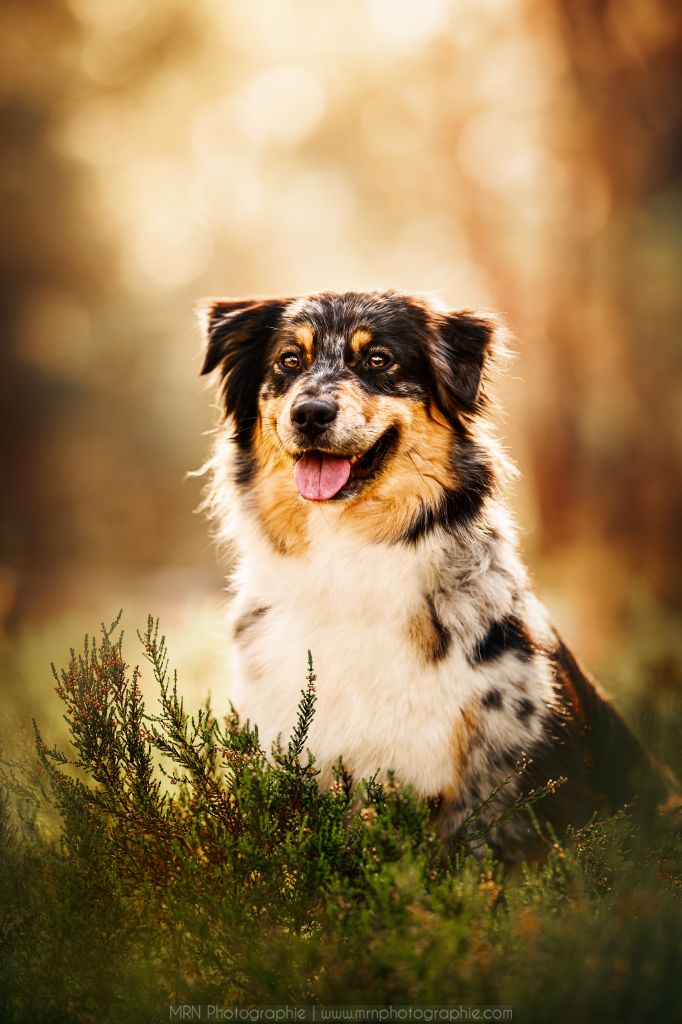 Naissances pour fin Novembre 2025